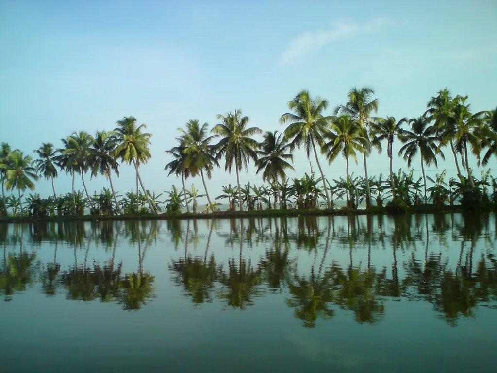 Backwater Cruises